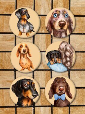 Watercolor Dachshund Fridge Magnets Set Of 6 Metal Magnets Home Office Kitchen